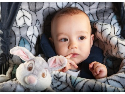 Buggysnuggle Snuggle Fur - Autumn Leaves | Baby Snooze