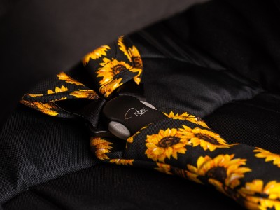 Roma Capsule 3 Stroller - Sunflower