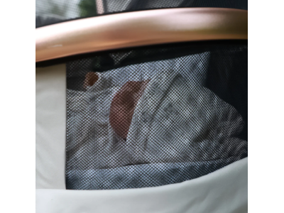 MB500 2-in-1 Pushchair & Carrycot - Rose Gold Stone